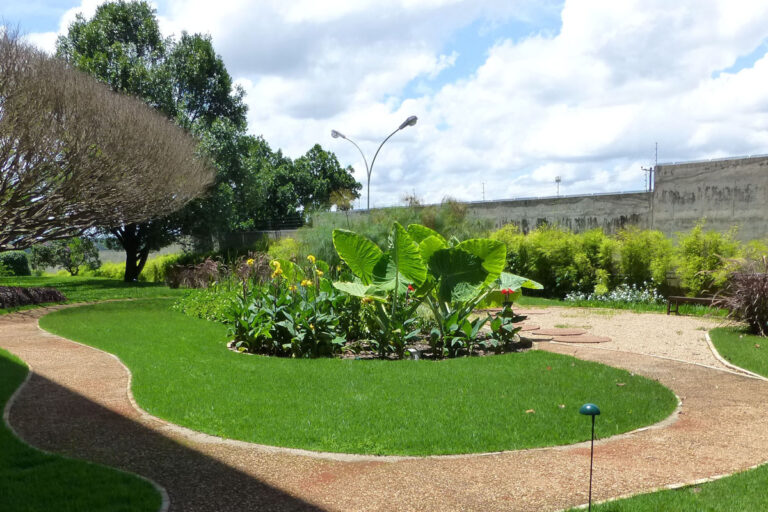 Scopri di più sull'articolo Giardino in Ambasciata, Brasilia, Brasile | 2011