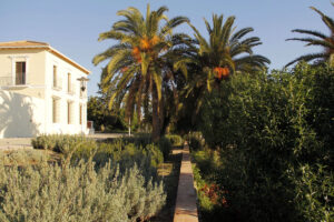 Giardino mediterraneo, Malaga, Spagna | 2014