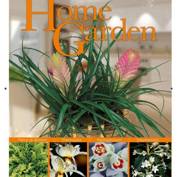 016HomeGarden-1 copertina